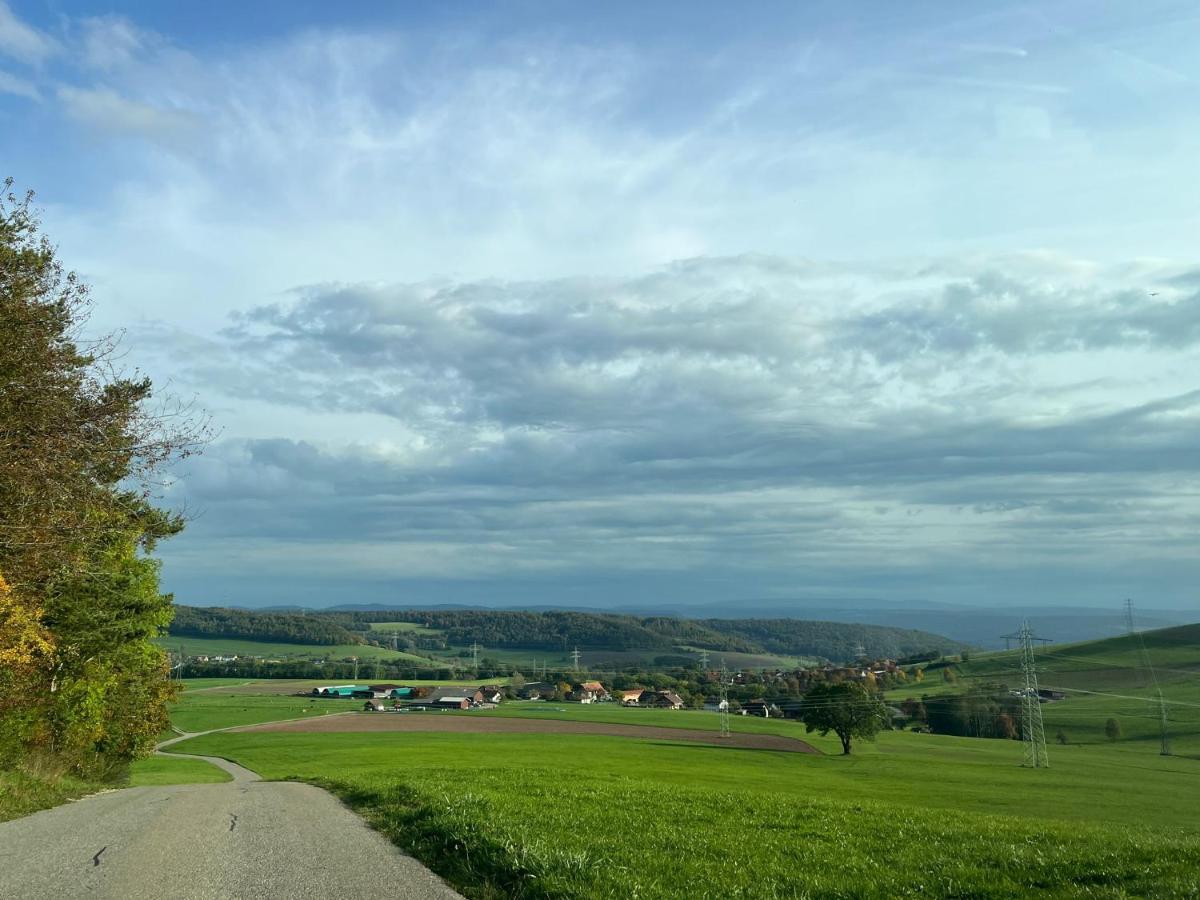 Ferien Im Schwarzwald - Ruhe & Naturverbunden Weilheim Eksteriør billede