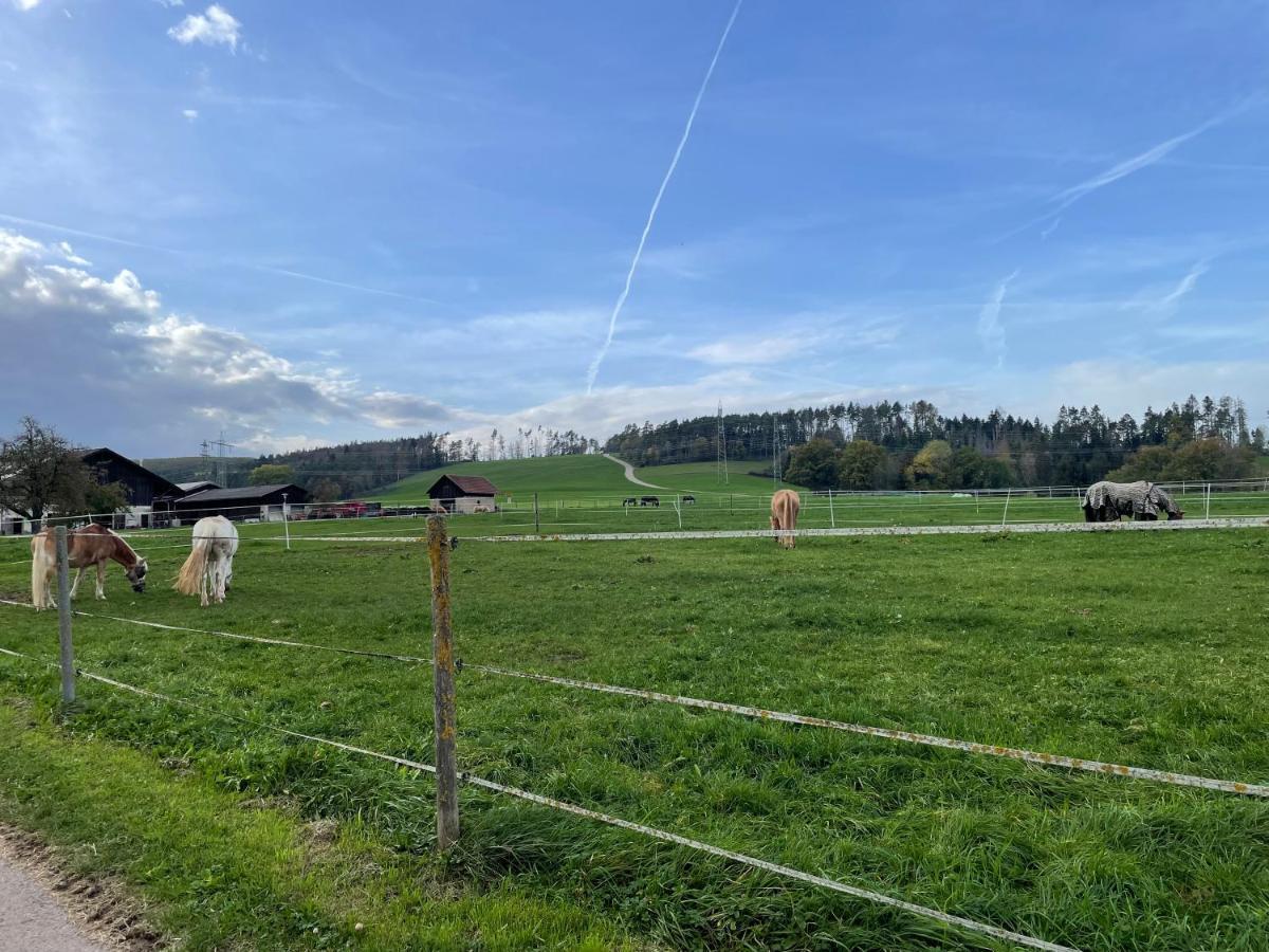 Ferien Im Schwarzwald - Ruhe & Naturverbunden Weilheim Eksteriør billede
