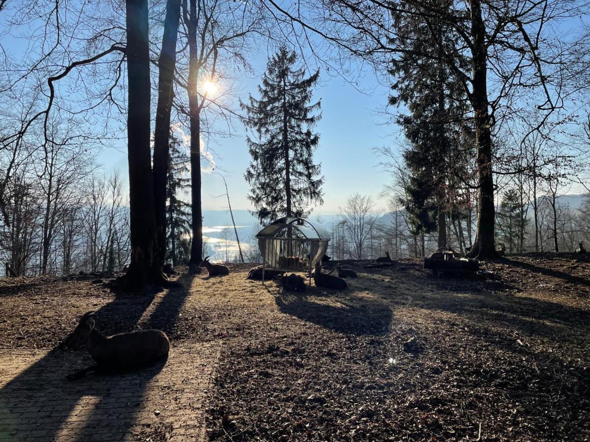 Ferien Im Schwarzwald - Ruhe & Naturverbunden Weilheim Eksteriør billede