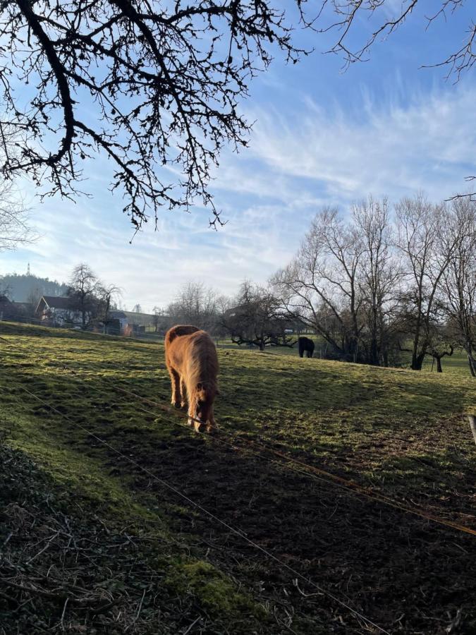 Ferien Im Schwarzwald - Ruhe & Naturverbunden Weilheim Eksteriør billede